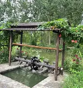 穆古鲁扎连续二十场比赛得分超过出色防守，TES不断突破！-九游下载安装官网